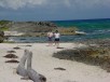 Thumbs/tn_More on the beach.jpg